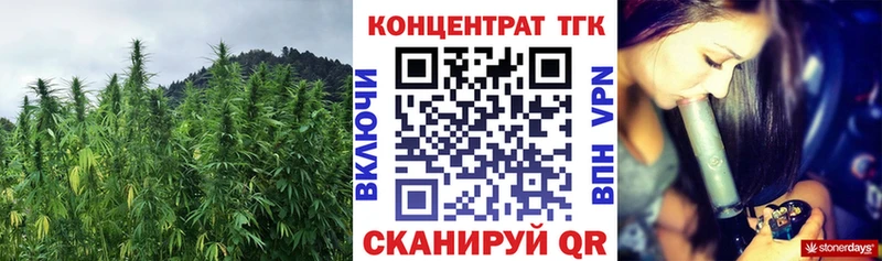 ТГК THC oil  закладка  Олонец 