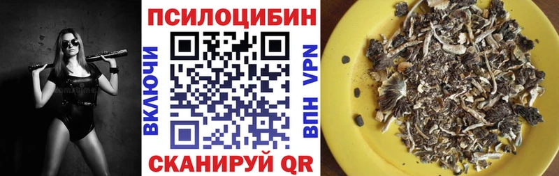 MEGA ONION Олонец Галлюциногенные грибы мухоморы